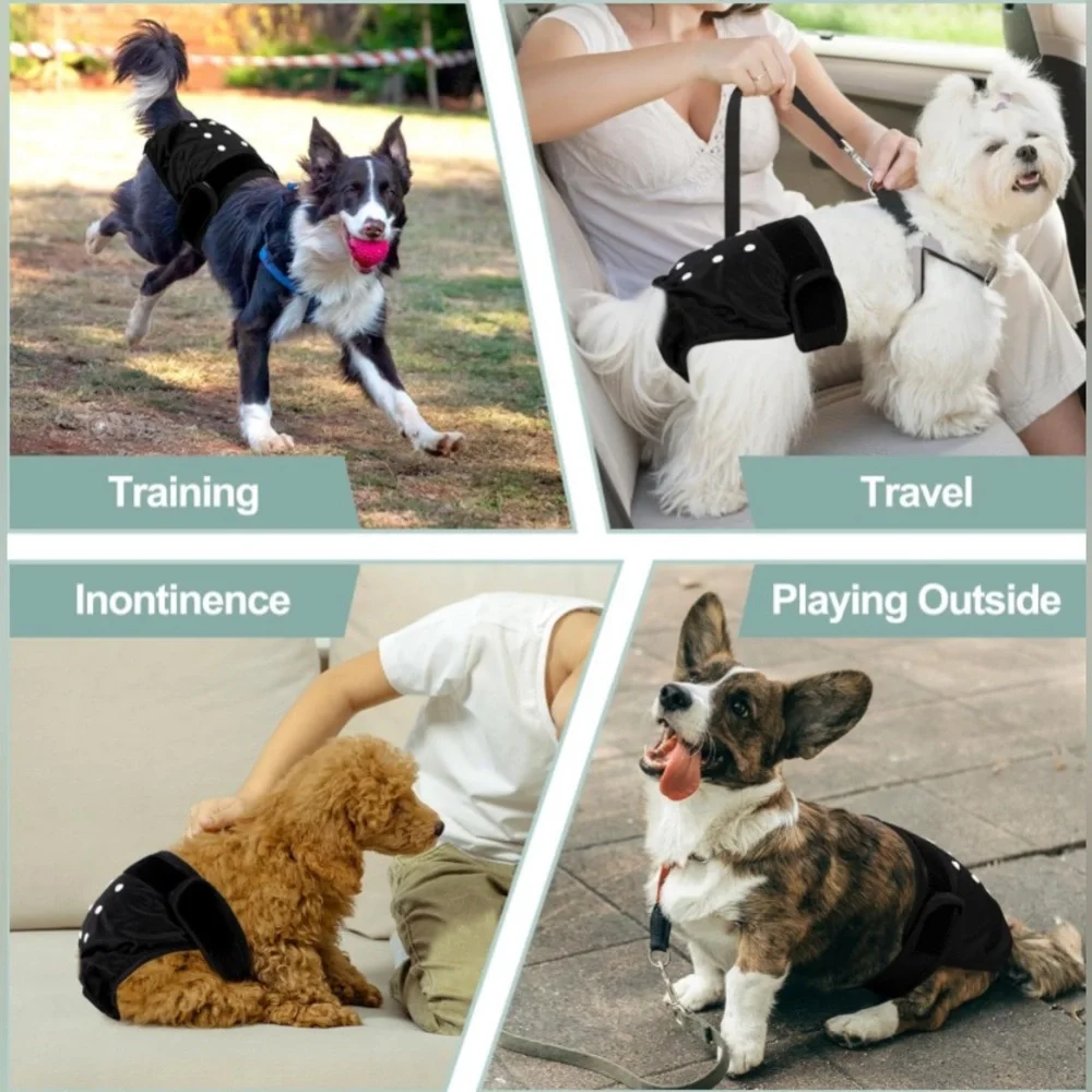 Washable Female Dog Diapers